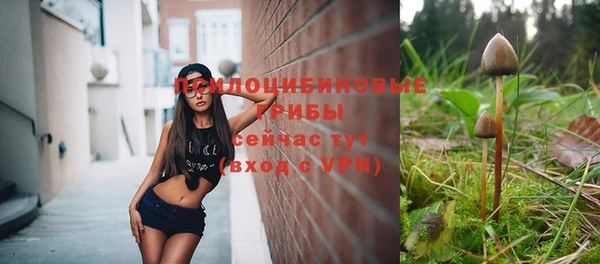 мдпв Волоколамск