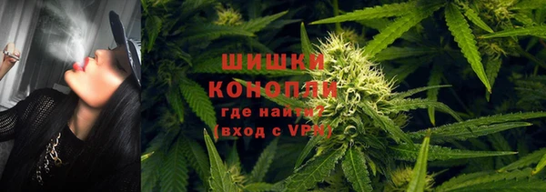 мдпв Волоколамск
