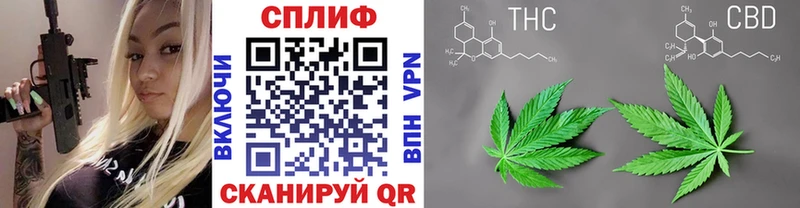 Купить Ленинск-Кузнецкий Бошки Шишки планчик